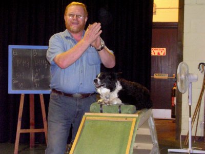 Sheep Dog Show.